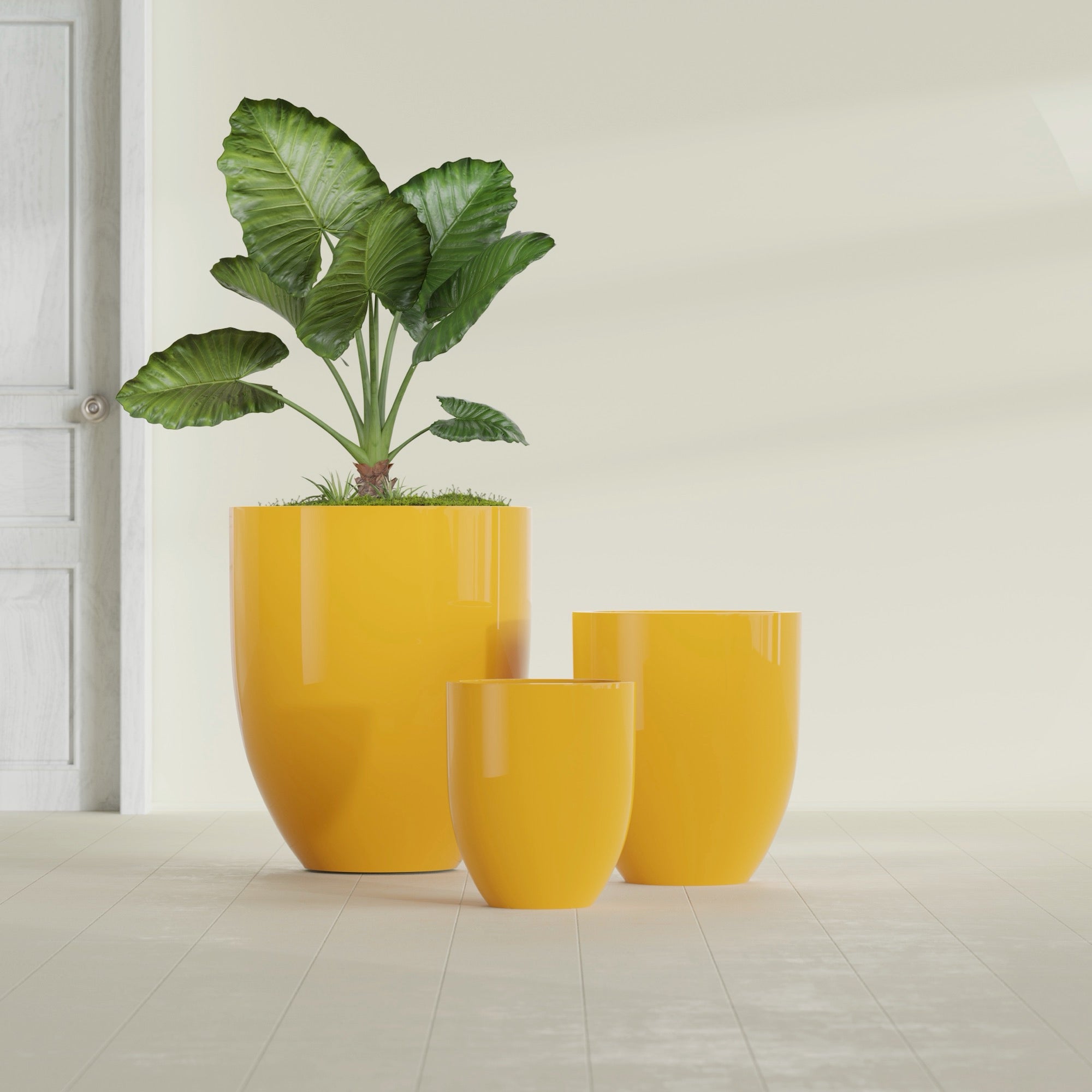 Valencia Medium Round Fiberglass Planter - 20 in x 20 in x 23 in - Gloss Saffron - Gloss Saffron,20 in x 20 in x 23 in
