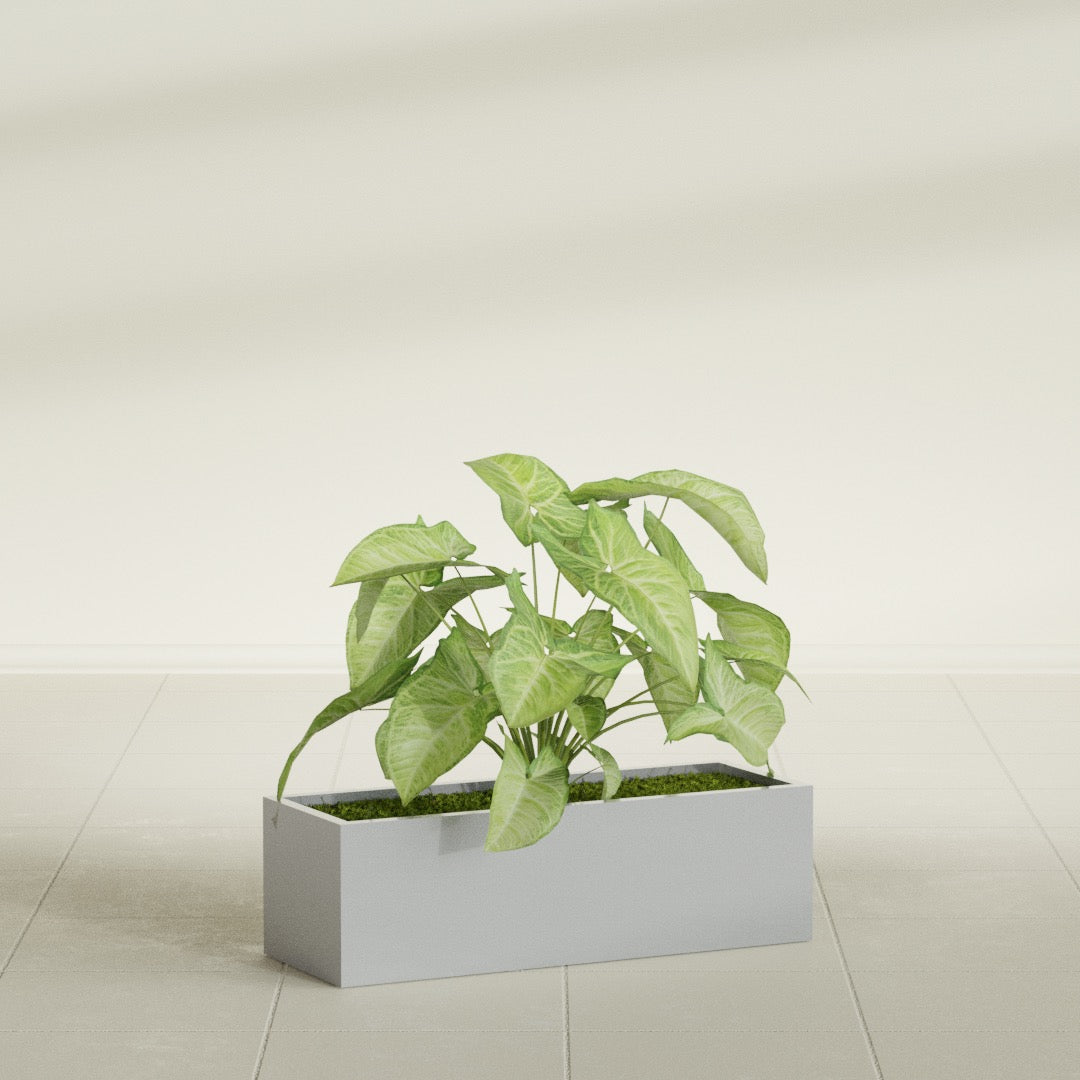 Reade Small Tabletop Rectangle Fiberglass Planter - 14 in x 5 in x 4.3 in - Metallic Silver - Metallic Silver,14 in x 5 in x 4.3 in