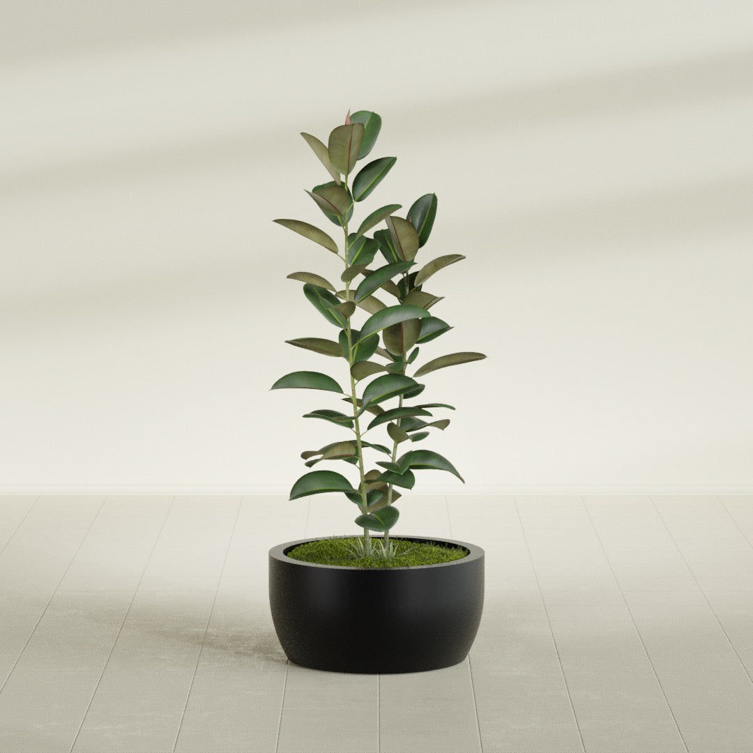 Casablanca Medium Round Low Bowl Fiberglass Planter - 24 in x 24 in x 12 in - Matte Black - Matte Black,24 in x 24 in x 12 in