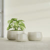 Short Hayden Small Round Fiberglass Planter - 12 in x 12 in x 7 in - Satin Beige - Satin Beige,12 in x 12 in x 7 in