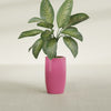 Lisbon Medium Round Fiberglass Planter - 14 in x 14 in x 25 in - Gloss Pink Violet - Gloss Pink Violet,14 in x 14 in x 25 in