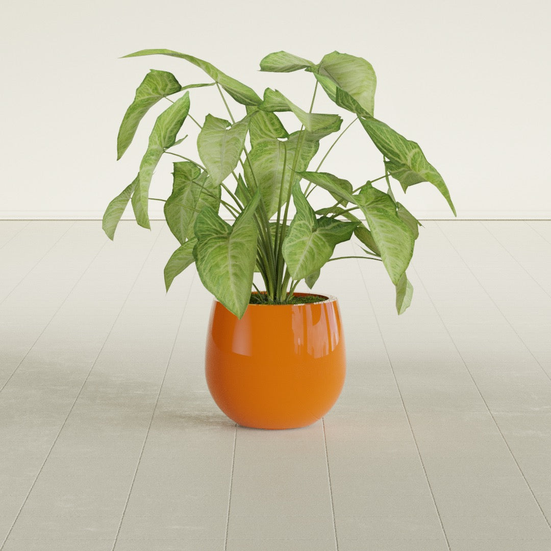 Westfield - 10in diam. x 9in - Gloss Tangerine - Gloss Tangerine,10 in diam. x 9 in H