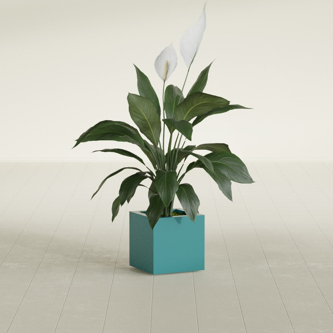 Montroy Small Cube Square Fiberglass Planter - 12 in x 12 in x 12 in - Satin Sea Foam - Satin Sea Foam,12 in x 12 in x 12 in