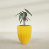 Alicante Medium Round Fiberglass Planter - 22 in x 22 in x 27 in - Gloss Saffron - Gloss Saffron,22 in x 22 in x 27 in