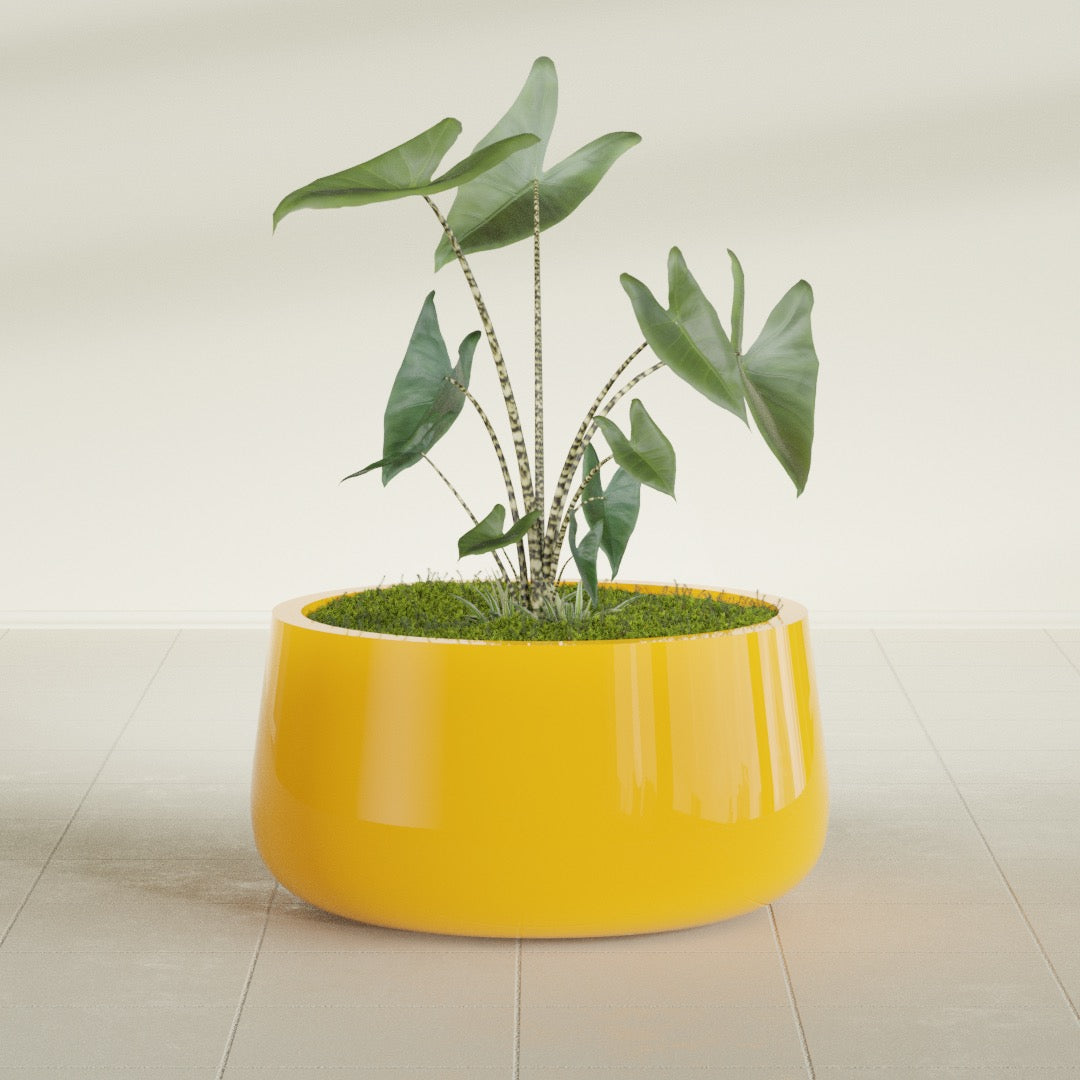 Short Hayden Medium Round Fiberglass Planter - 20 in x 20 in x 10 in - Gloss Saffron - Gloss Saffron,20 in x 20 in x 10 in