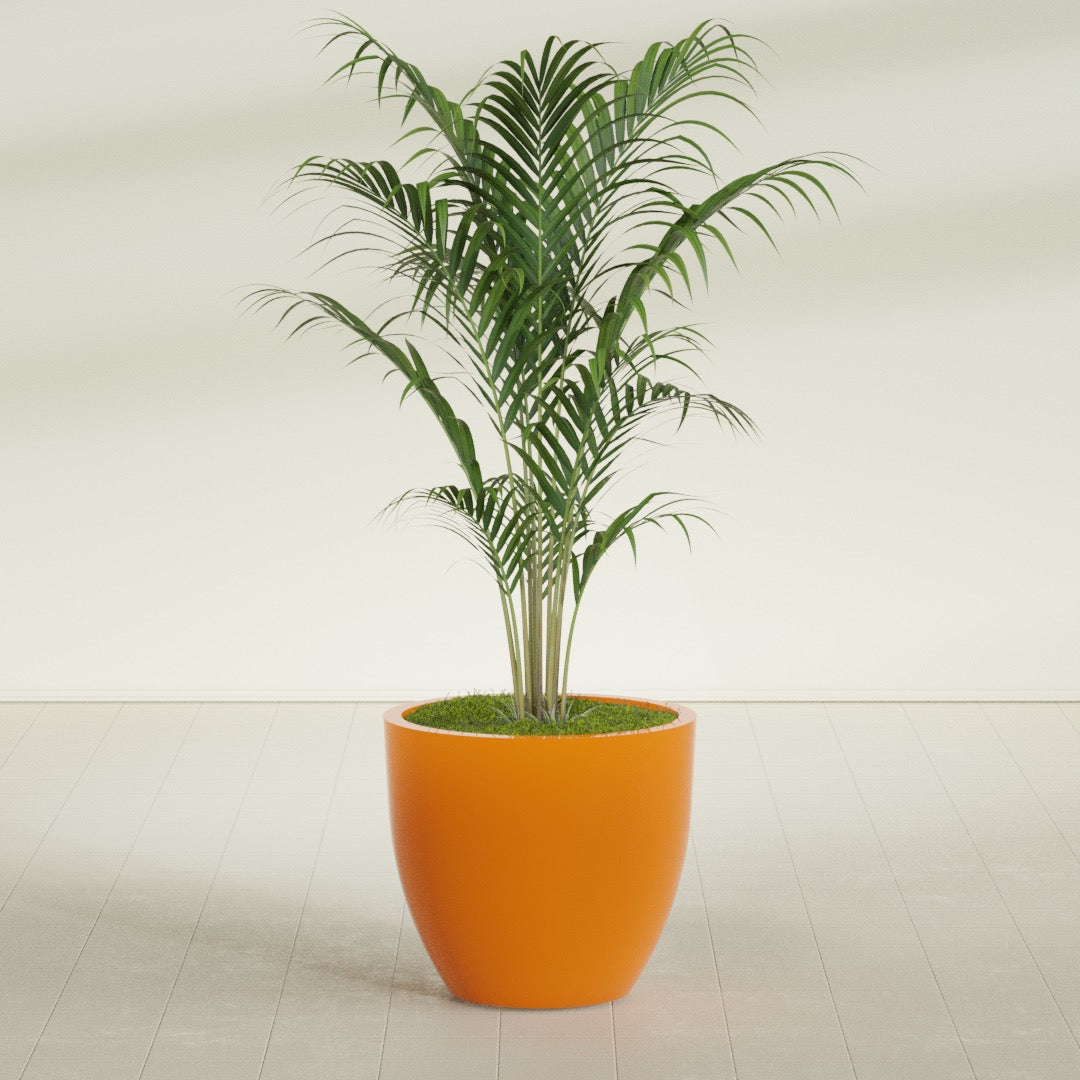 Wannsee Large Round Fiberglass Planter - 33 in x 33 in x 29 in - Gloss Tangerine - Gloss Tangerine,33 in x 33 in x 29 in