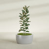 Casablanca Large Round Low Bowl Fiberglass Planter - 30 in x 30 in x 15 in - Metallic Silver - Metallic Silver,30 in x 30 in x 15 in