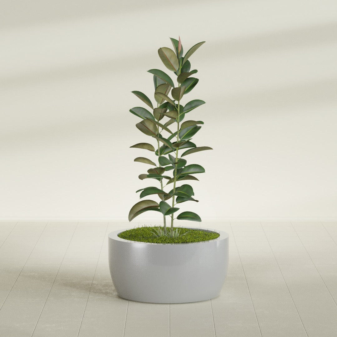 Casablanca Large Round Low Bowl Fiberglass Planter - 30 in x 30 in x 15 in - Metallic Silver - Metallic Silver,30 in x 30 in x 15 in