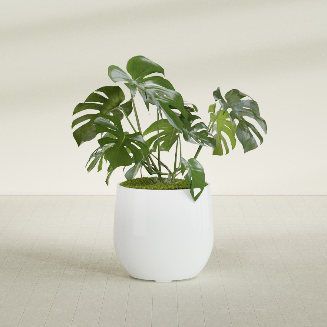 Westfield - 27in diam. x 25in - Matte White - Matte White,27 in diam. x 25 in H