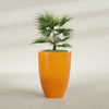 Brannan Large Round Fiberglass Planter - 30 in x 30 in x 41 in - Gloss Tangerine - Gloss Tangerine,30 in x 30 in x 41 in