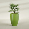 Brannan Large Round Fiberglass Planter - 30 in x 30 in x 41 in - Satin Green - Satin Green,30 in x 30 in x 41 in