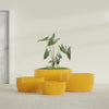 Casablanca Medium Round Low Bowl Fiberglass Planter - 24 in x 24 in x 12 in - Gloss Saffron - Gloss Saffron,24 in x 24 in x 12 in
