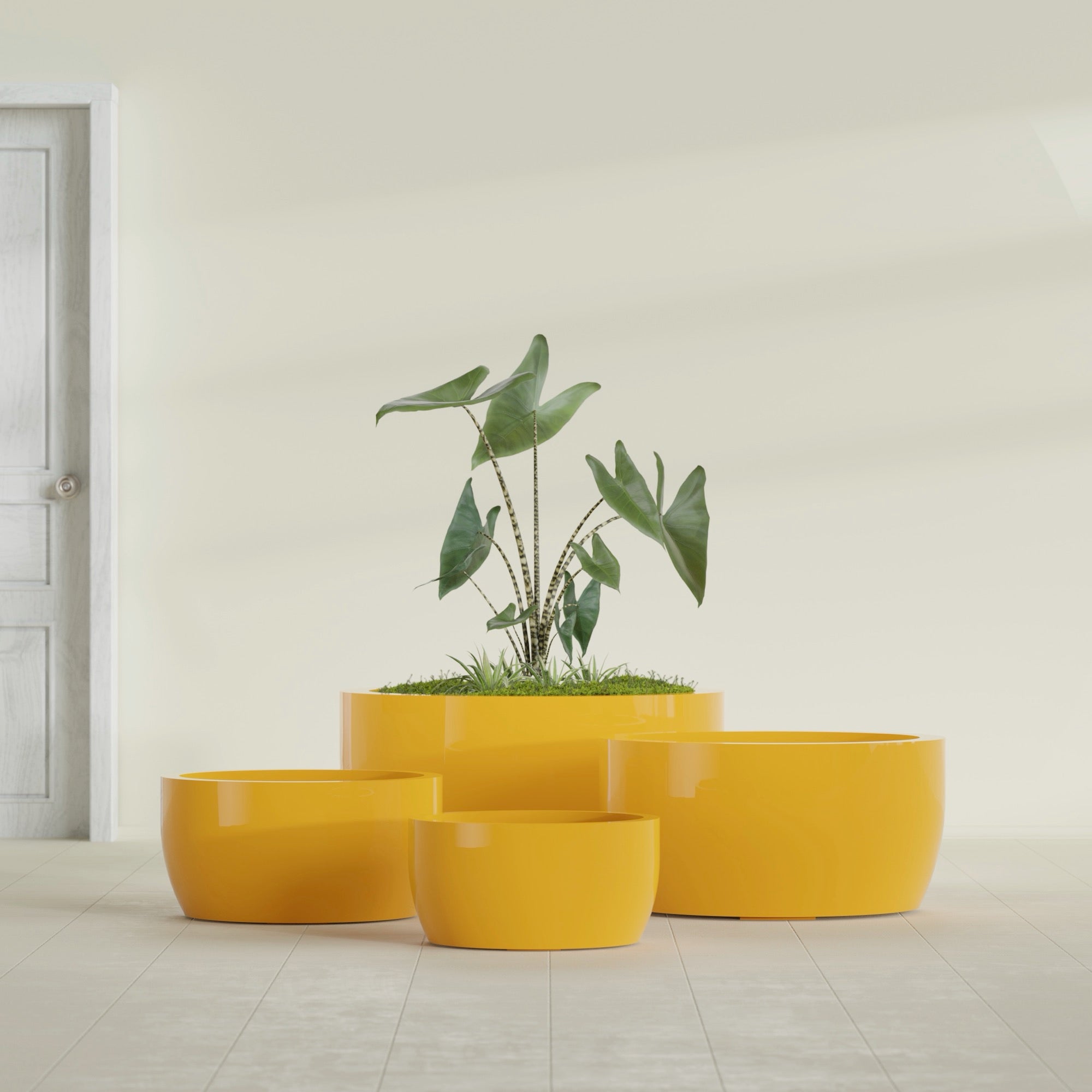 Casablanca Large Round Low Bowl Fiberglass Planter - 36 in x 36 in x 18 in - Gloss Saffron - Gloss Saffron,36 in x 36 in x 18 in