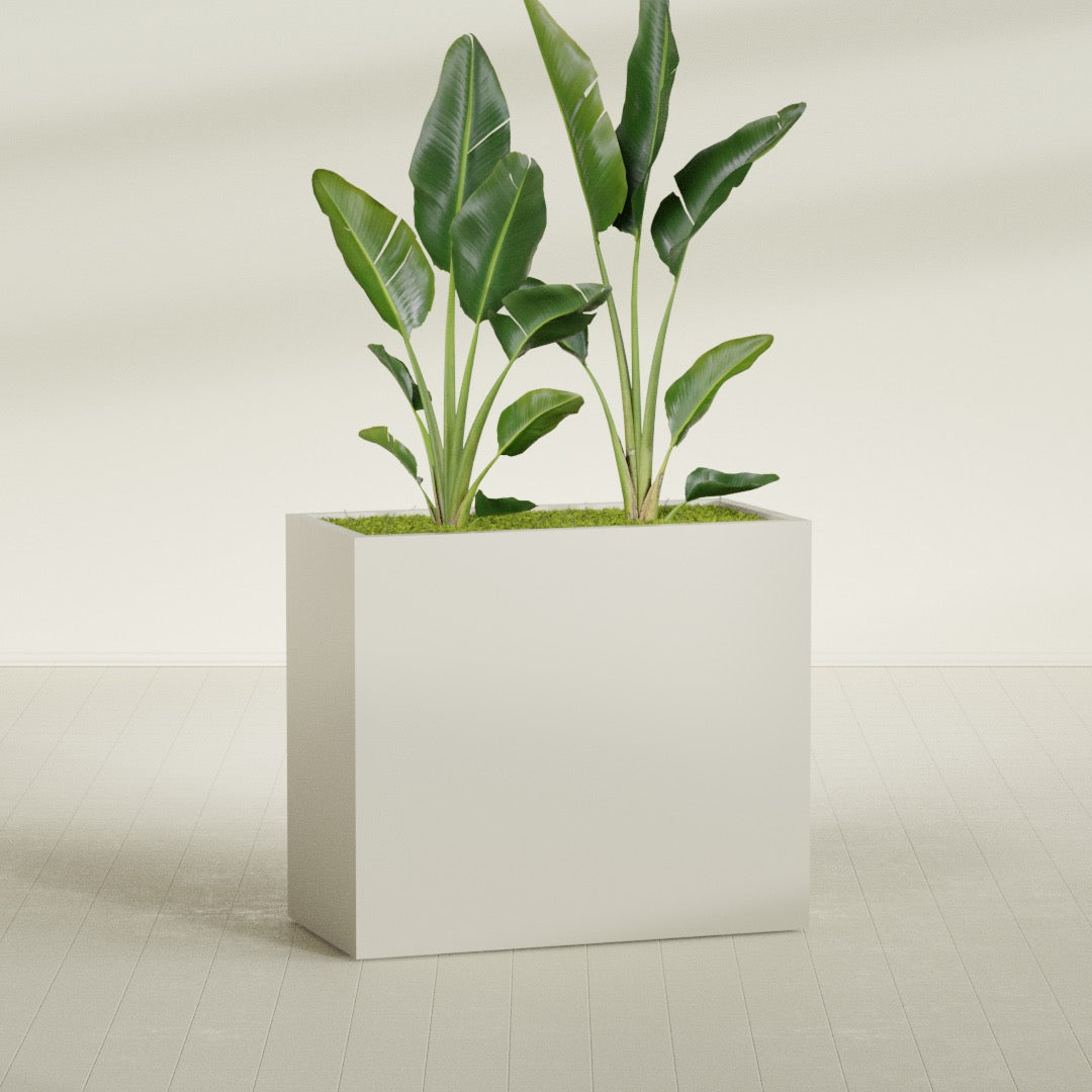 Darwin Extra Large Rectangle Fiberglass Planter - 48 in x 24 in x 42 in - Satin Beige - Satin Beige,48 in x 24 in x 42 in