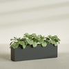 Miami Extra Large Narrow Rectangle Fiberglass Planter - 60 in x 12 in x 18 in - Matte Charcoal - Matte Charcoal,60 in x 12 in x 18 in