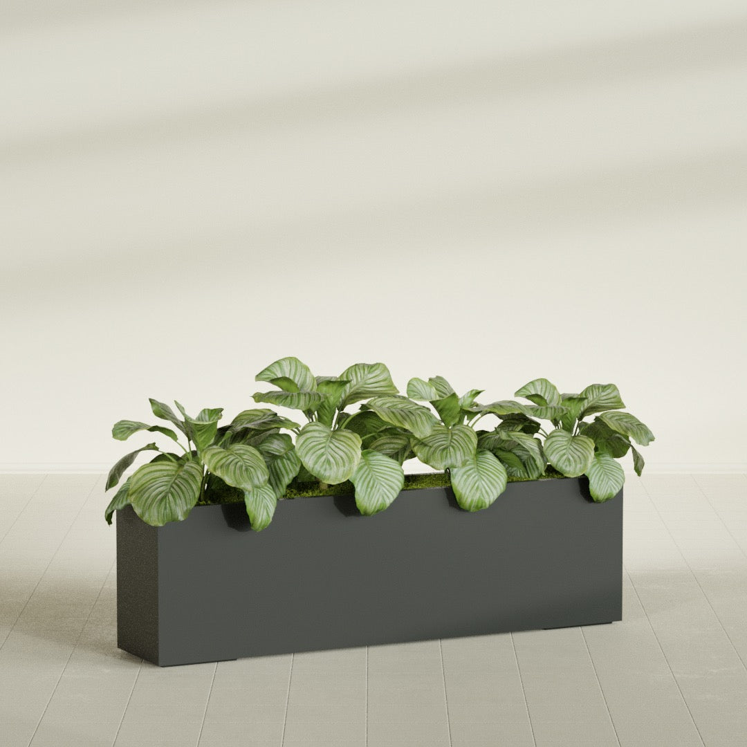 Miami Extra Large Narrow Rectangle Fiberglass Planter - 60 in x 12 in x 18 in - Matte Charcoal - Matte Charcoal,60 in x 12 in x 18 in