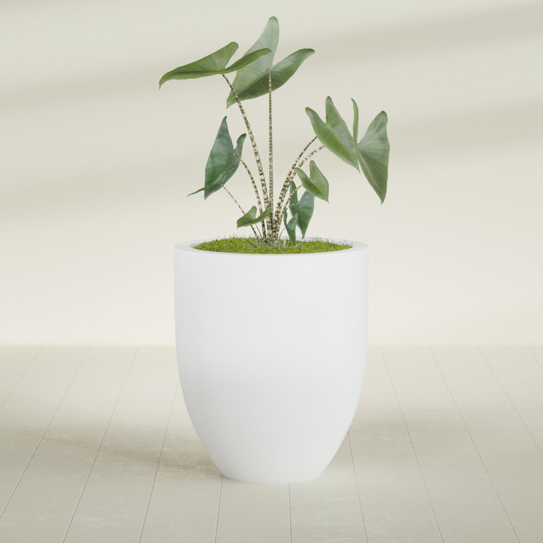 Valencia Large Round Fiberglass Planter - 27 in x 27 in x 31 in - Gloss White - Gloss White,27 in x 27 in x 31 in