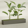Cuba Extra Large Long Rectangle Fiberglass Planter - 72 in x 14 in x 12 in - Matte Bronze - Matte Bronze,72 in x 14 in x 12 in