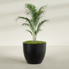 Wannsee Large Round Fiberglass Planter - 44 in x 44 in x 39 in - Matte Black - Matte Black,44 in x 44 in x 39 in