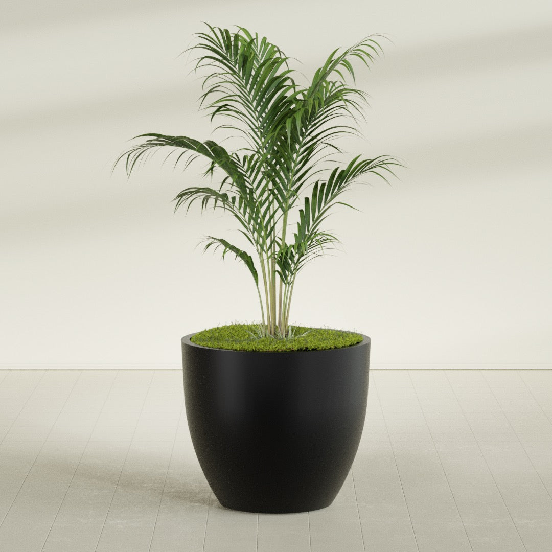 Wannsee Large Round Fiberglass Planter - 44 in x 44 in x 39 in - Matte Black - Matte Black,44 in x 44 in x 39 in