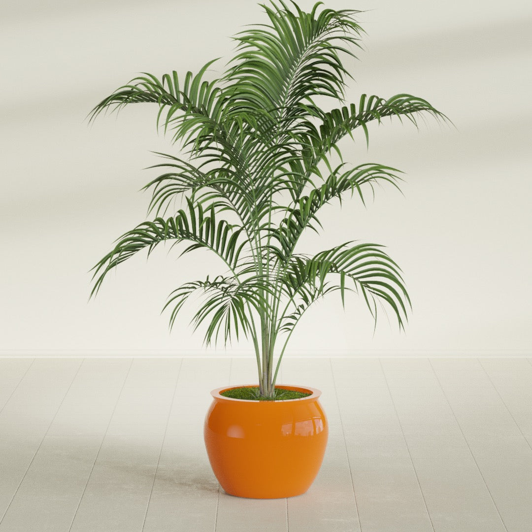 Fishbowl Small Round Fiberglass Planter - 16 in x 16 in x 14 in - Gloss Tangerine - Gloss Tangerine,16 in x 16 in x 14 in