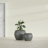 Fishbowl Small Round Fiberglass Planter - 16 in x 16 in x 14 in - Metallic Gunmetal - Metallic Gunmetal,16 in x 16 in x 14 in