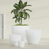 Wannsee Extra Large Round Fiberglass Planter - 50 in x 50 in x 44 in - Matte White - Matte White,50 in x 50 in x 44 in