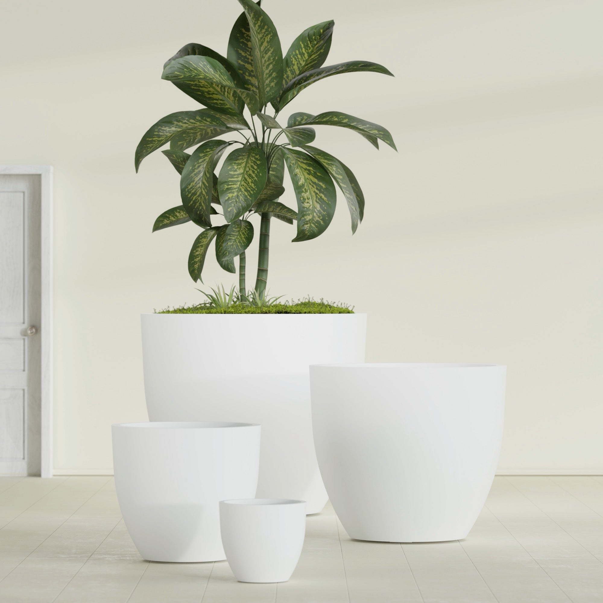 Wannsee Extra Large Round Fiberglass Planter - 50 in x 50 in x 44 in - Matte White - Matte White,50 in x 50 in x 44 in