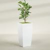 Toulan Extra Large Tall Tapered Square Fiberglass Planter - 23 in x 23 in x 48 in - Matte White - Matte White,23 in x 23 in x 48 in