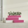 Salon Large Tall Rectangle Fiberglass Planter - 36 in x 8 in x 8 in - Gloss Pink Violet - Gloss Pink Violet,36 in x 8 in x 8 in