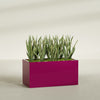 Granada Extra Large Long Rectangle Fiberglass Planter - 48 in x 24 in x 24 in - Gloss Eggplant - Gloss Eggplant,48 in x 24 in x 24 in