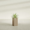Hollywood Medium Rectangle Fiberglass Planter - 12 in x 12 in x 24 in - Metallic Gold - Metallic Gold,12 in x 12 in x 24 in