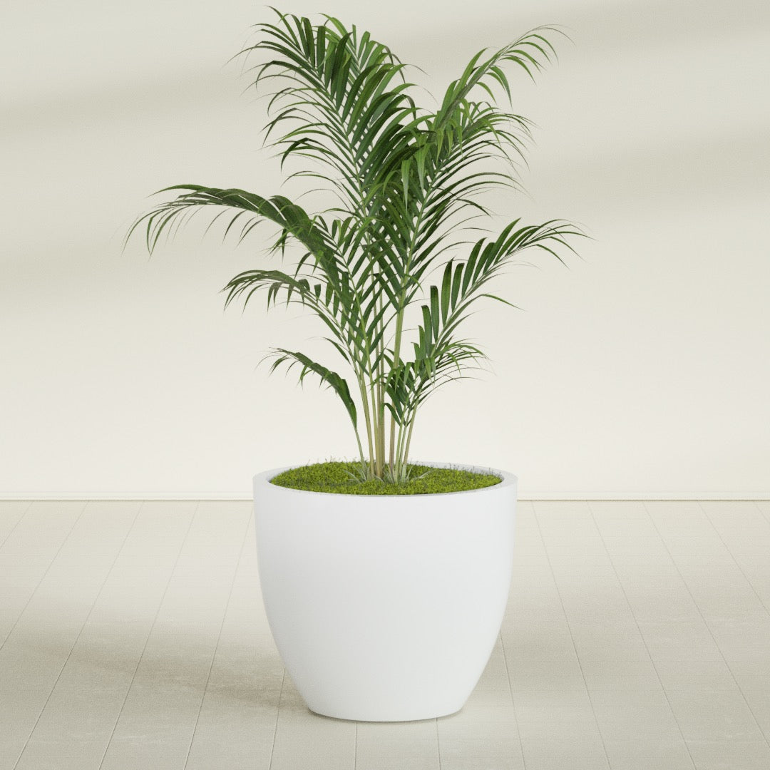 Wannsee Large Round Fiberglass Planter - 39 in x 39 in x 34 in - Matte White - Matte White,39 in x 39 in x 34 in