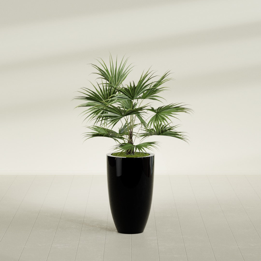 Brannan Medium Round Fiberglass Planter - 18 in x 18 in x 29 in - Gloss Black - Gloss Black,18 in x 18 in x 29 in