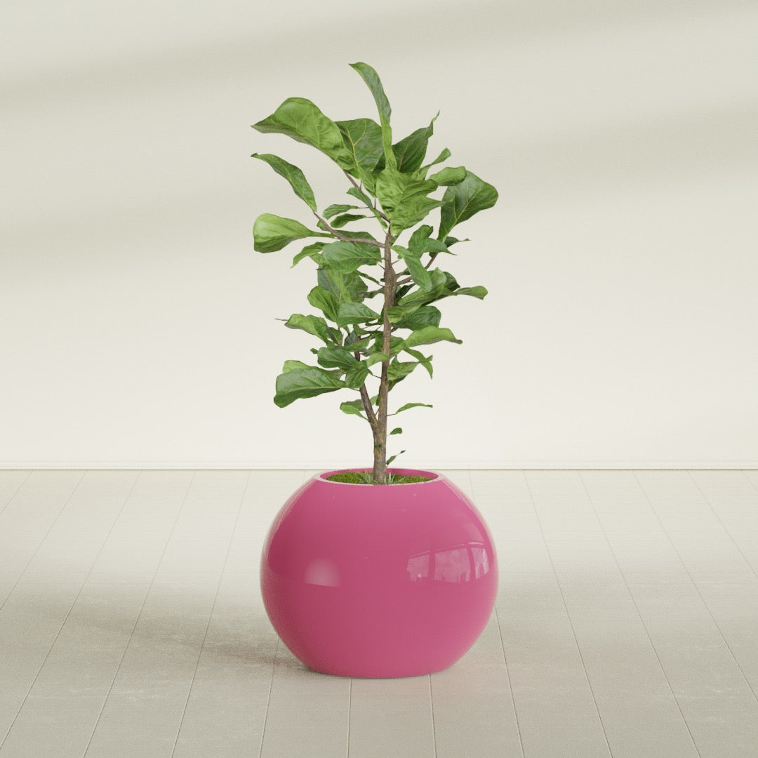 Globe Medium Sphere Fiberglass Planter - 24 in x 24 in x 19 in - Gloss Pink Violet - Gloss Pink Violet,24 in x 24 in x 20 in