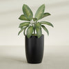 Lisbon Large Round Fiberglass Planter - 24 in x 24 in x 36 in - Matte Black - Matte Black,24 in x 24 in x 36 in