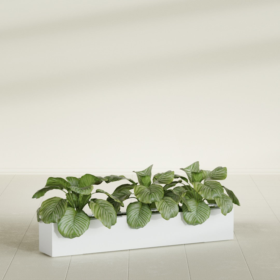 Salon Large Tall Rectangle Fiberglass Planter - 48 in x 8 in x 8 in - Matte White - Matte White,48 in x 8 in x 8 in