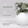 Globe Large Sphere Fiberglass Planter - 36 in x 36 in x 30 in - Matte White - Matte White,36 in x 36 in x 30 in
