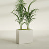 Potsdam Large Rectangle Fiberglass Planter - 36 in x 16 in x 32 in - Satin Beige - Satin Beige,36 in x 16 in x 32 in