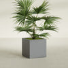 Montroy Medium Cube Square Fiberglass Planter - 28 in x 28 in x 28 in - Metallic Gunmetal - Metallic Gunmetal,28 in x 28 in x 28 in
