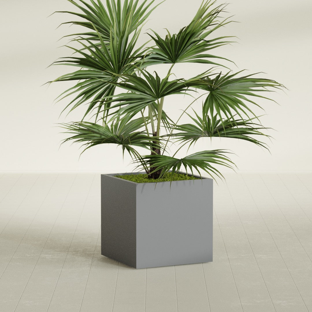 Montroy Medium Cube Square Fiberglass Planter - 28 in x 28 in x 28 in - Metallic Gunmetal - Metallic Gunmetal,28 in x 28 in x 28 in