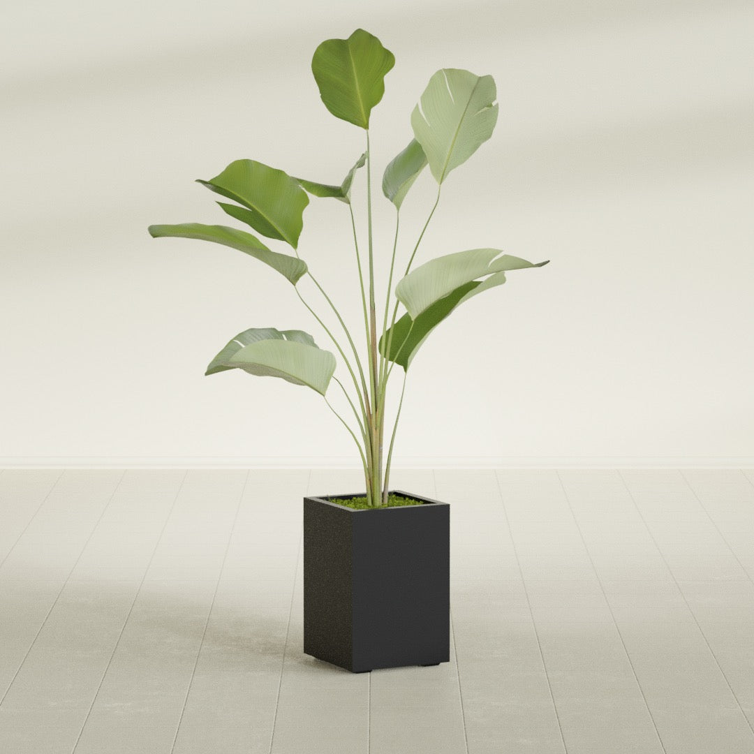 Tolga Medium Rectangle Fiberglass Planter - 16 in x 16 in x 24 in - Matte Black - Matte Black,16 in x 16 in x 24 in