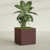 Cube - 40in x 40in x 40in - Weathered Steel - Rust - Weathered Steel - Rust,40 in x 40 in x 40 in