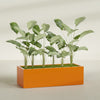 Torino Extra Large Wide Rectangle Fiberglass Planter - 60 in x 24 in x 18 in - Gloss Tangerine - Gloss Tangerine,60 in x 24 in x 18 in
