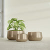 Short Hayden Small Round Fiberglass Planter - 16 in x 16 in x 8 in - Metallic Gold - Metallic Gold,16 in x 16 in x 8 in