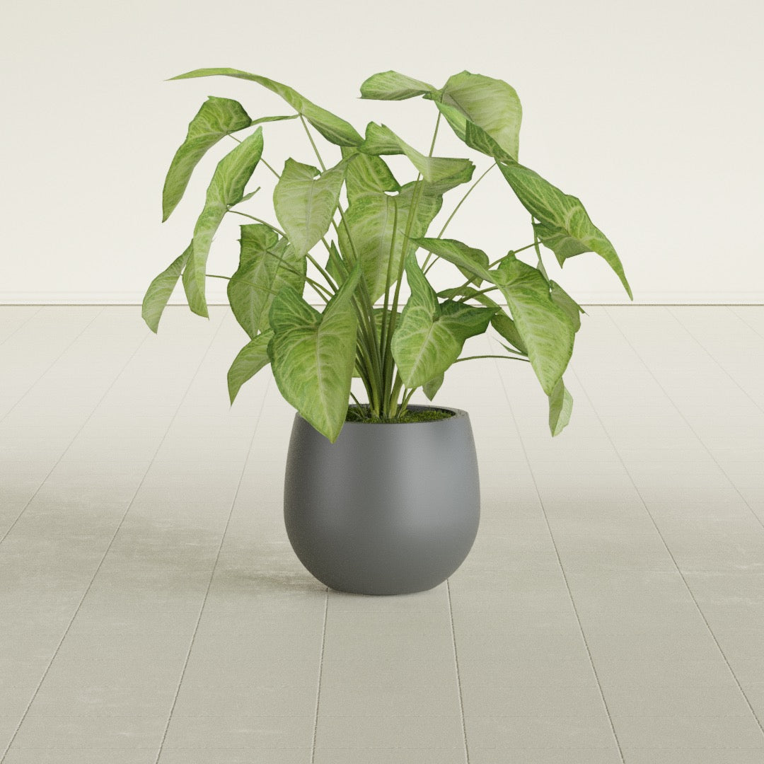 Westfield - 10in diam. x 9in - Metallic Gunmetal - Metallic Gunmetal,10 in diam. x 9 in H