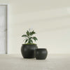 Fishbowl Small Round Fiberglass Planter - 16 in x 16 in x 14 in - Matte Charcoal - Matte Charcoal,16 in x 16 in x 14 in
