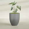 Valencia Large Round Fiberglass Planter - 27 in x 27 in x 31 in - Metallic Gunmetal - Metallic Gunmetal,27 in x 27 in x 31 in