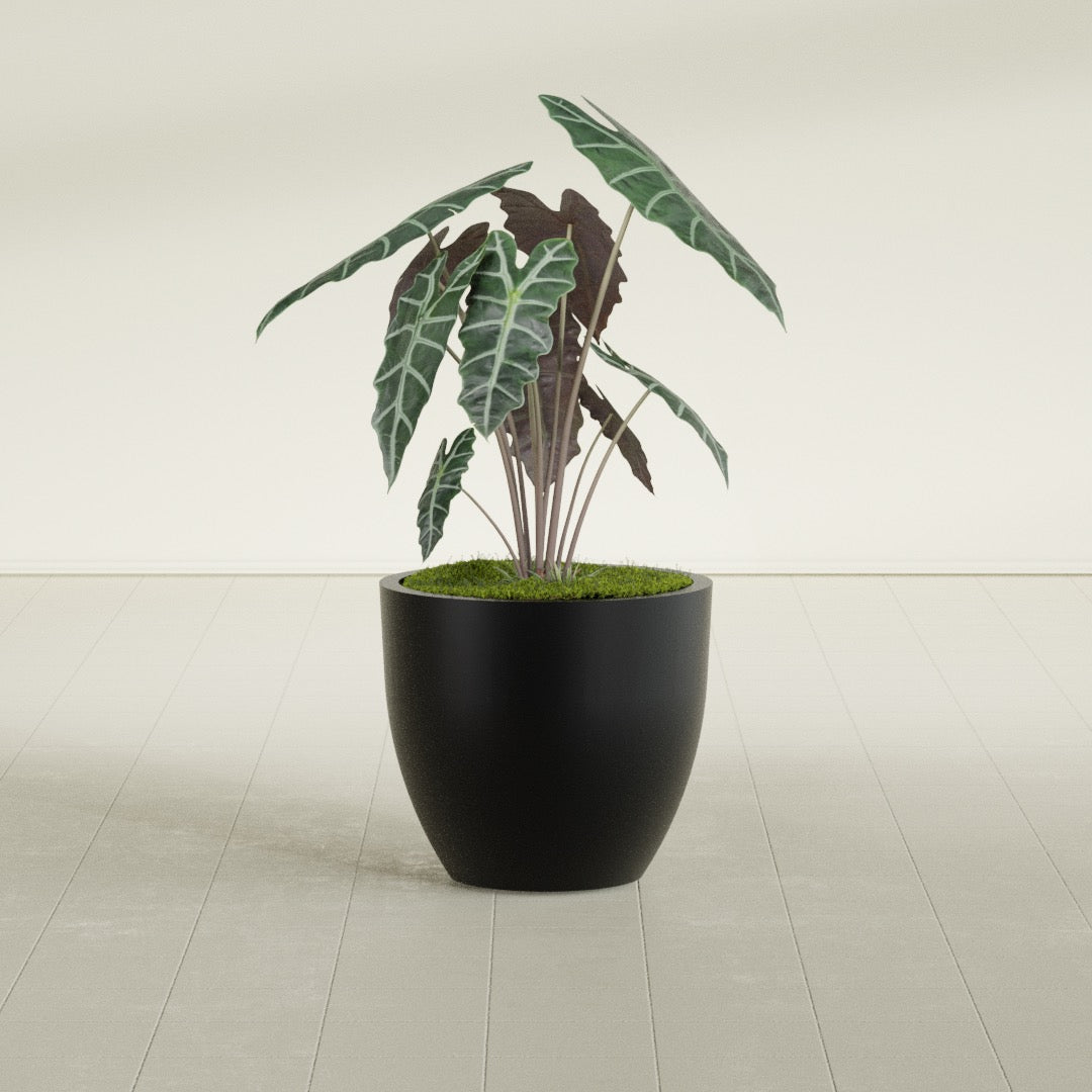 Wannsee Medium Round Fiberglass Planter - 27 in x 27 in x 24 in - Matte Black - Matte Black,27 in x 27 in x 24 in