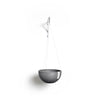 Hanging Brussels Small Bowl Planter - 13 in x 13 in x 6.5 in - Grey - Grey,13 in x 13 in x 6.5 in
